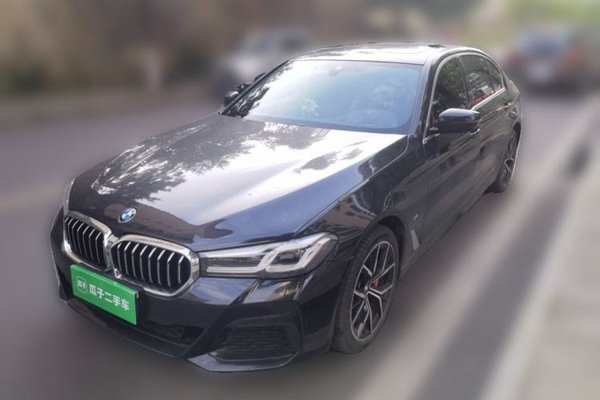 BMW 5 Series · 2022 год