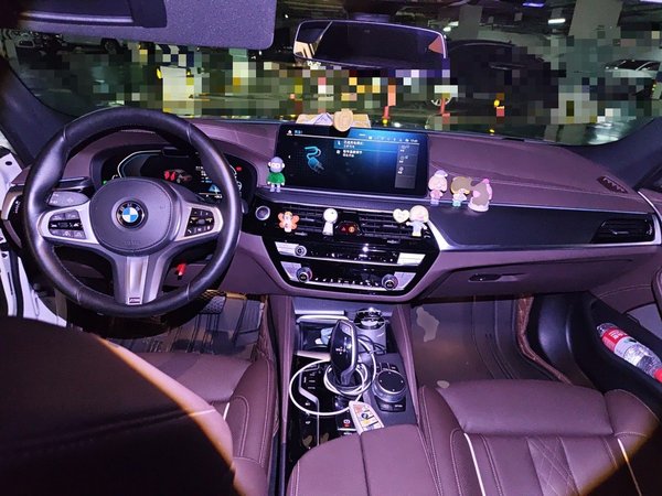 BMW 5 Series New Energy 2021, 44700 км, за 29455 USD - фото 10