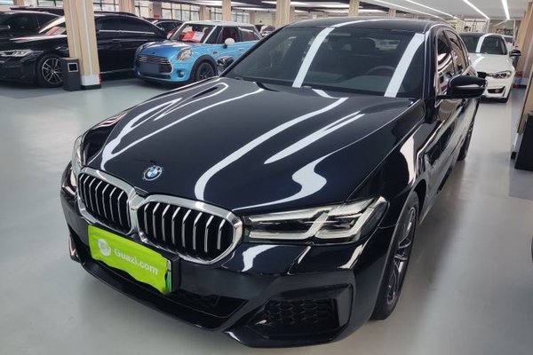 BMW 5 Series New Energy · 2022 год