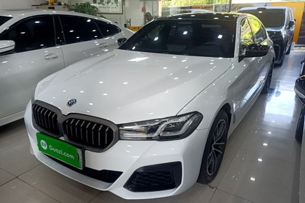 BMW 5 Series New Energy · 2022 год