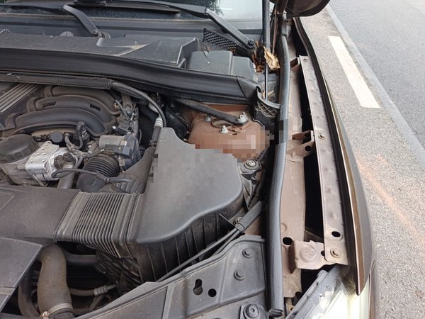 BMW X1 2012, 125800 км, за 4951 USD - фото 20