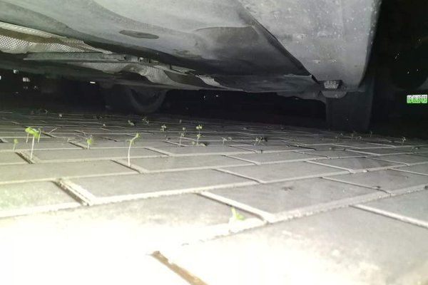 BMW X1 2021, 41500 км, за 14784 USD - фото 26