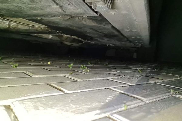 BMW X1 2021, 41500 км, за 14784 USD - фото 29