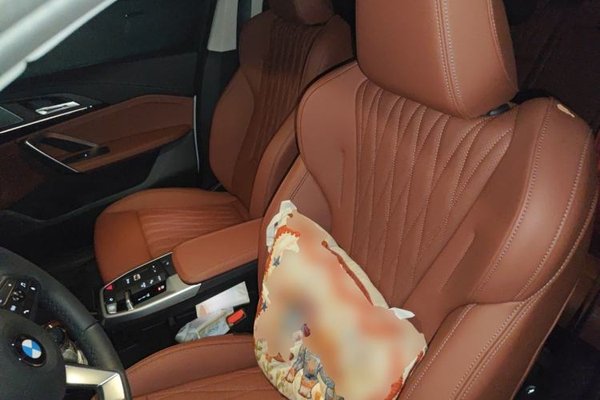 BMW X1 2025, за 9999999 USD - фото 16