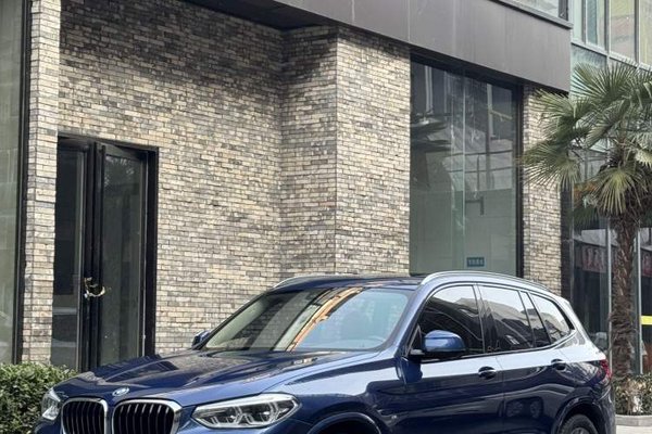 BMW X3 · 2019 год