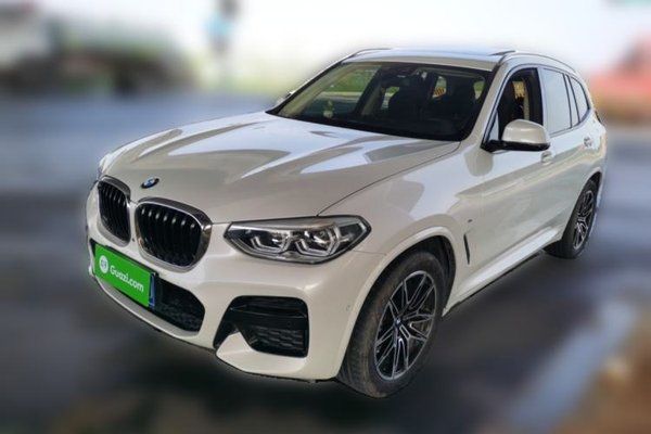 BMW X3 · 2019 год