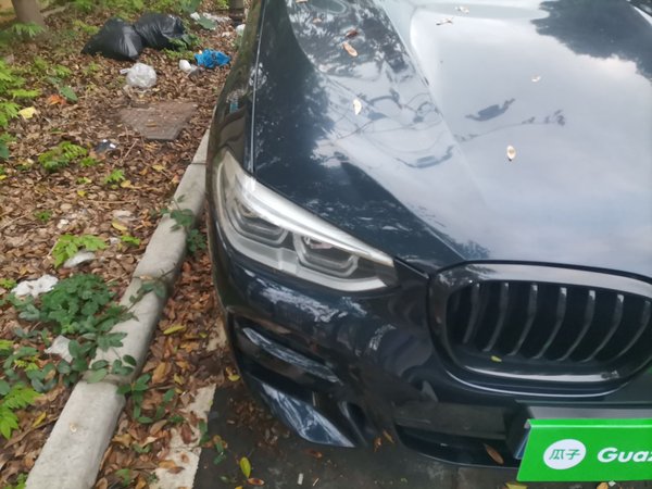 BMW X4 · 2019 год