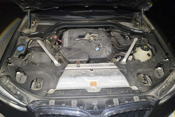 BMW X4 2021, 93900 км, за 23360 USD - фото 21