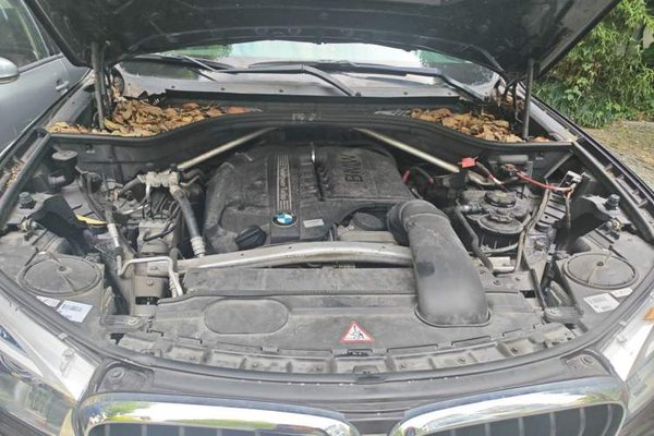 BMW X5 2014, 87400 км, за 19193 USD - фото 17