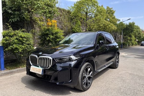 BMW X5 · 2023 год