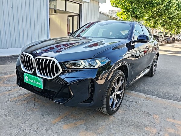 BMW X6 · 2023 год