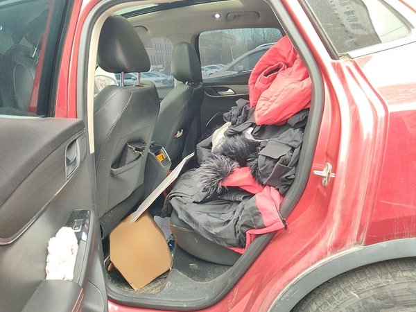 BORGWARD BX5 2017, 135700 км, за 7790 USD - фото 20