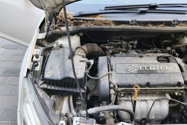 Buick GT 2014, 57600 км, за 3087 USD - фото 23