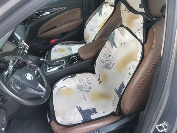 Buick Regal 2017, 80300 км, за 8615 USD - фото 16