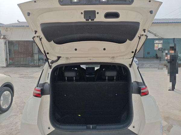 BYD Seagull 2025, 24500 км, за 8932 USD - фото 21