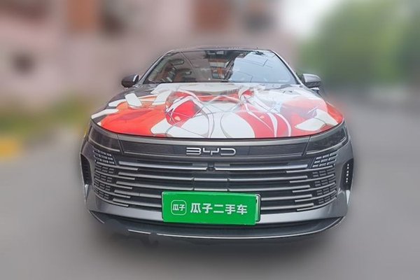 BYD Destroyer 05 2022, 31000 км, за 9643 USD - фото 15