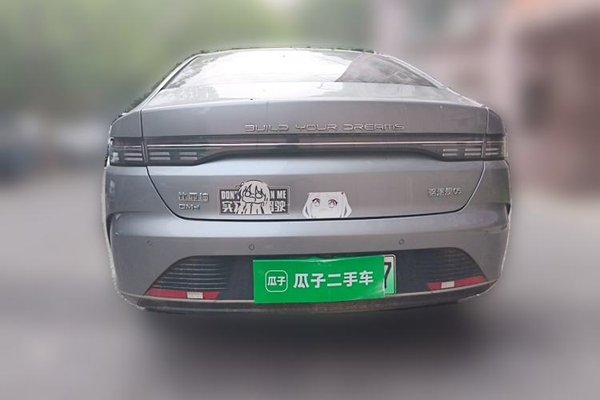 BYD Destroyer 05 2022, 31000 км, за 9643 USD - фото 16