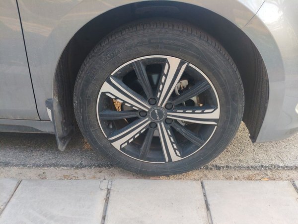 BYD Destroyer 05 2022, 48300 км, за 8285 USD - фото 8