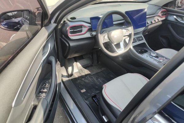 BYD Destroyer 05 2022, 29900 км, за 8467 USD - фото 23