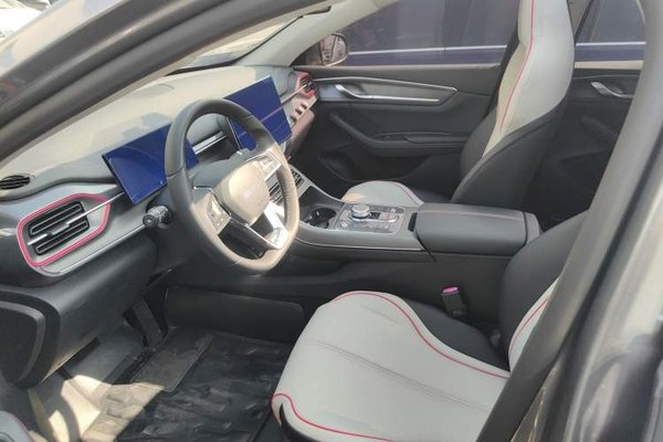 BYD Destroyer 05 2022, 29900 км, за 8467 USD - фото 22