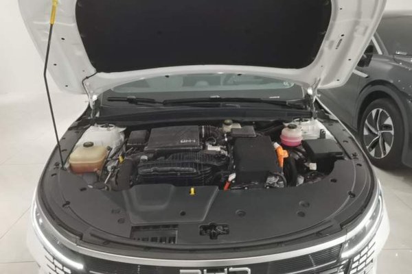 BYD Destroyer 05 2022, 48800 км, за 9460 USD - фото 24