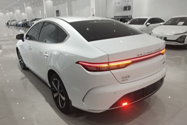 BYD Destroyer 05 2022, 48800 км, за 9460 USD - фото 9
