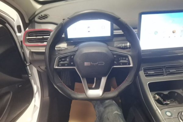 BYD Destroyer 05 2022, 48800 км, за 9460 USD - фото 14