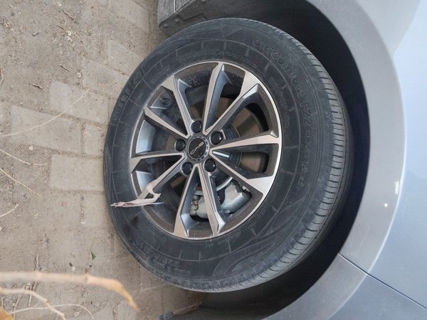 BYD Destroyer 05 2023, 33700 км, за 7659 USD - фото 8