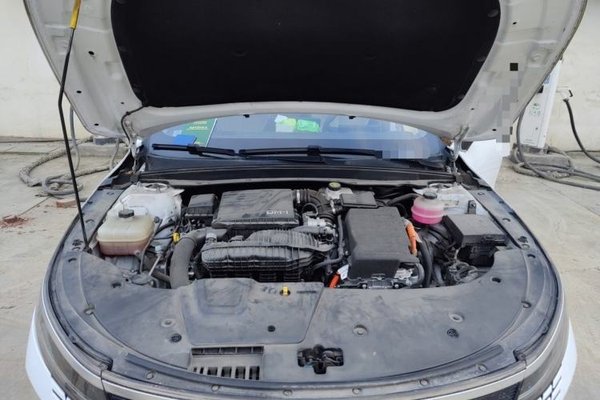 BYD Destroyer 05 2023, 57400 км, за 8012 USD - фото 21