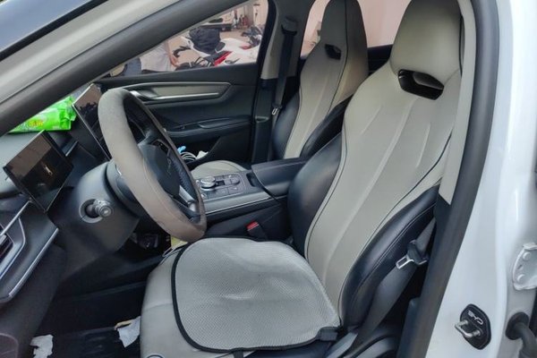 BYD Destroyer 05 2023, 57400 км, за 8012 USD - фото 15
