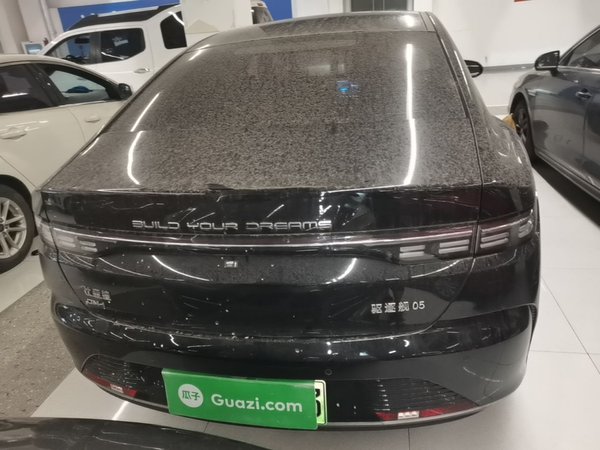 BYD Destroyer 05 2024, 20000 км, за 10054 USD