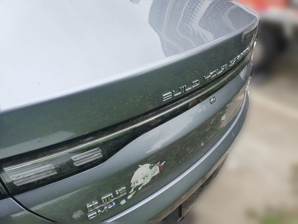 BYD Destroyer 05 2024, 18200 км, за 8330 USD - фото 20