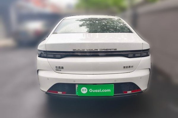 BYD Destroyer 05 2024, 1600 км, за 11053 USD