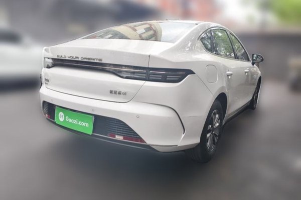 BYD Destroyer 05 2024, 1600 км, за 11053 USD - фото 6