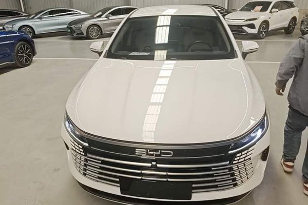 BYD Destroyer 05 2024, 18100 км, за 10341 USD