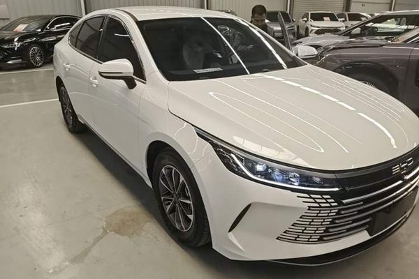 BYD Destroyer 05 2024, 18100 км, за 10341 USD