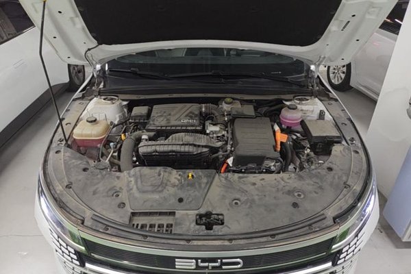 BYD Destroyer 05 2024, 26000 км, за 9277 USD - фото 24