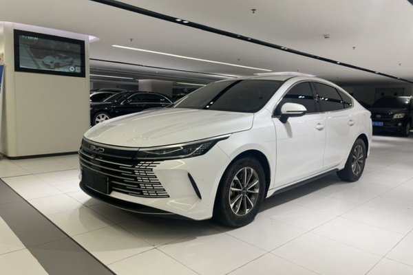 BYD Destroyer 05 · 2024 год