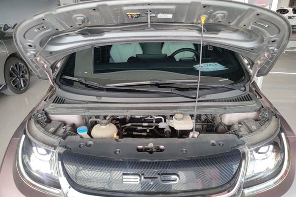 BYD Dolphin 2021, 23700 км, за 10726 USD