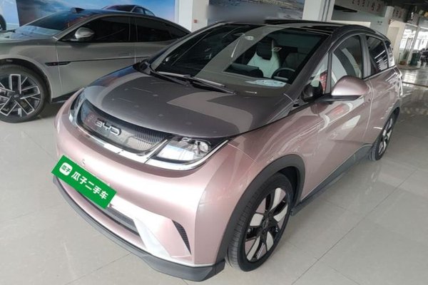 BYD Dolphin · 2021 год