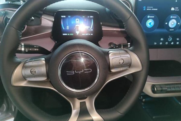 BYD Dolphin 2021, 23700 км, за 10726 USD - фото 23