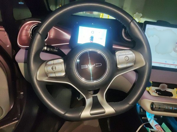 BYD Dolphin 2021, 32200 км, за 9437 USD - фото 11