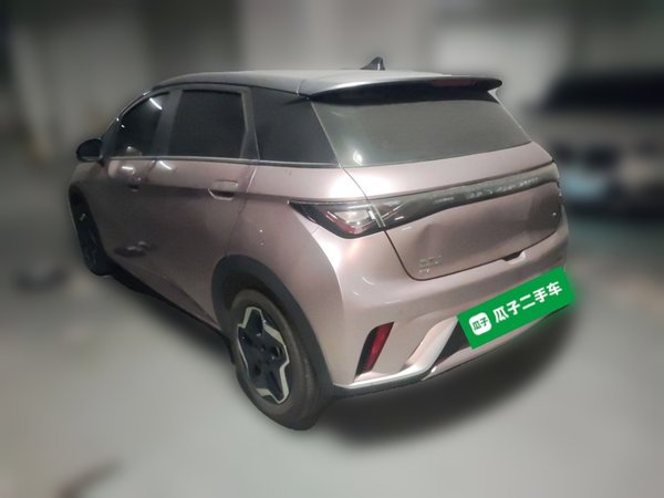 BYD Dolphin 2021, 32200 км, за 9437 USD