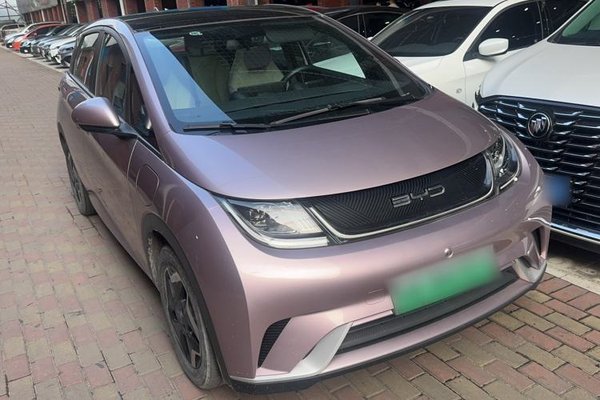 BYD Dolphin 2021, 37100 км, за 11014 USD
