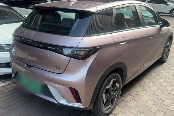 BYD Dolphin 2021, 37100 км, за 11014 USD - фото 6