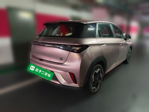 BYD Dolphin 2021, 37100 км, за 9995 USD