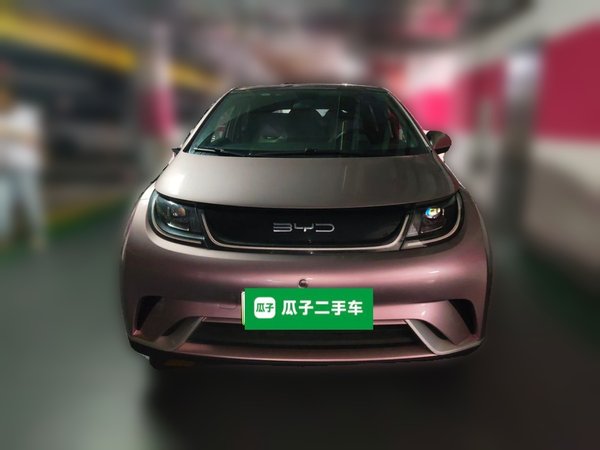 BYD Dolphin 2021, 37100 км, за 9995 USD