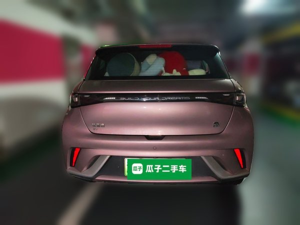 BYD Dolphin 2021, 37100 км, за 9995 USD