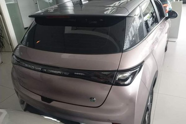 BYD Dolphin 2021, 50400 км, за 10056 USD