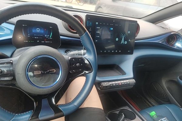BYD Dolphin 2021, 109400 км, за 9440 USD - фото 12